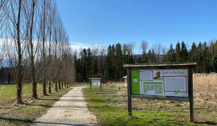 Bienenlehrpfad Attersee
